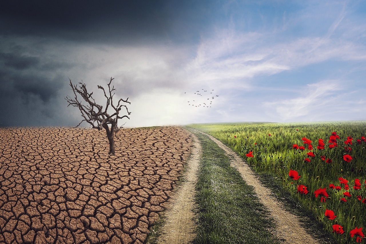 erfahren sie alles über den klimawandel: ursachen, auswirkungen auf die umwelt und mögliche lösungen für eine nachhaltige zukunft. handeln wir gemeinsam für den schutz unseres planeten.